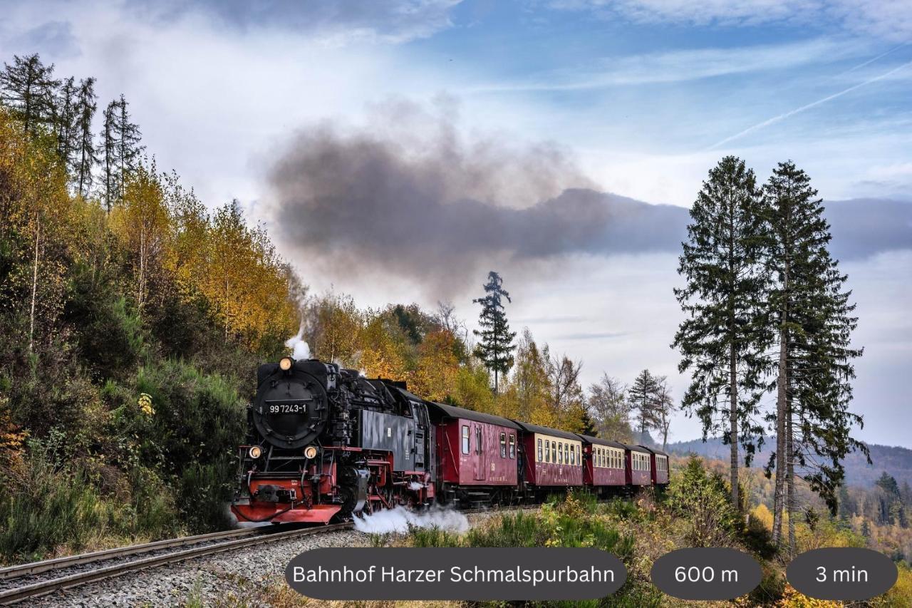 Happyhome Mitten Im Harz - Direkte Wanderwege - Bachplaetschern - Kueche - Kinderfreundlich - Paare Und Freunde エーレント エクステリア 写真